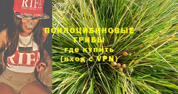 спиды Белокуриха