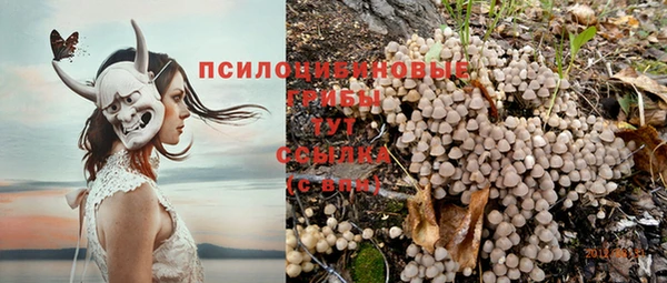 ГАЛЛЮЦИНОГЕННЫЕ ГРИБЫ Беломорск