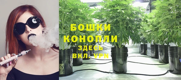 ГАЛЛЮЦИНОГЕННЫЕ ГРИБЫ Беломорск